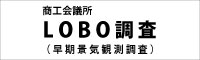 LOBO調査